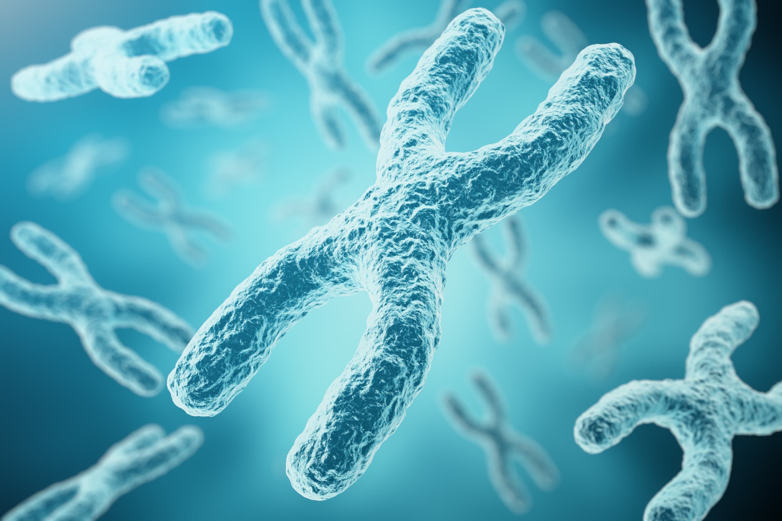 染色體保護者的強大「粒」量!科學界掀起端粒強大生物學功能的面紗
