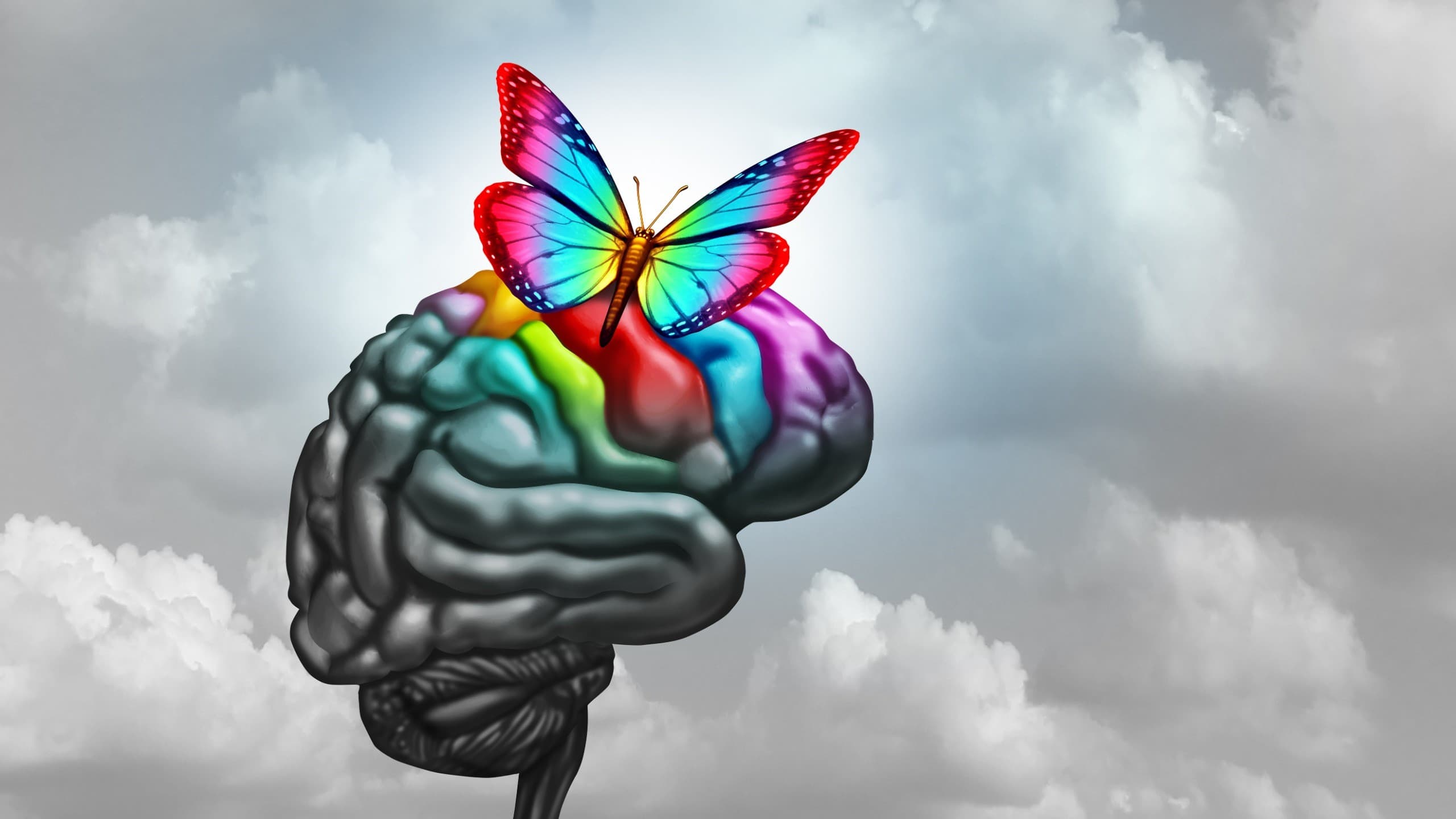 機器學習分類自閉症譜系障礙,將有助開啟精準治療標靶研究
