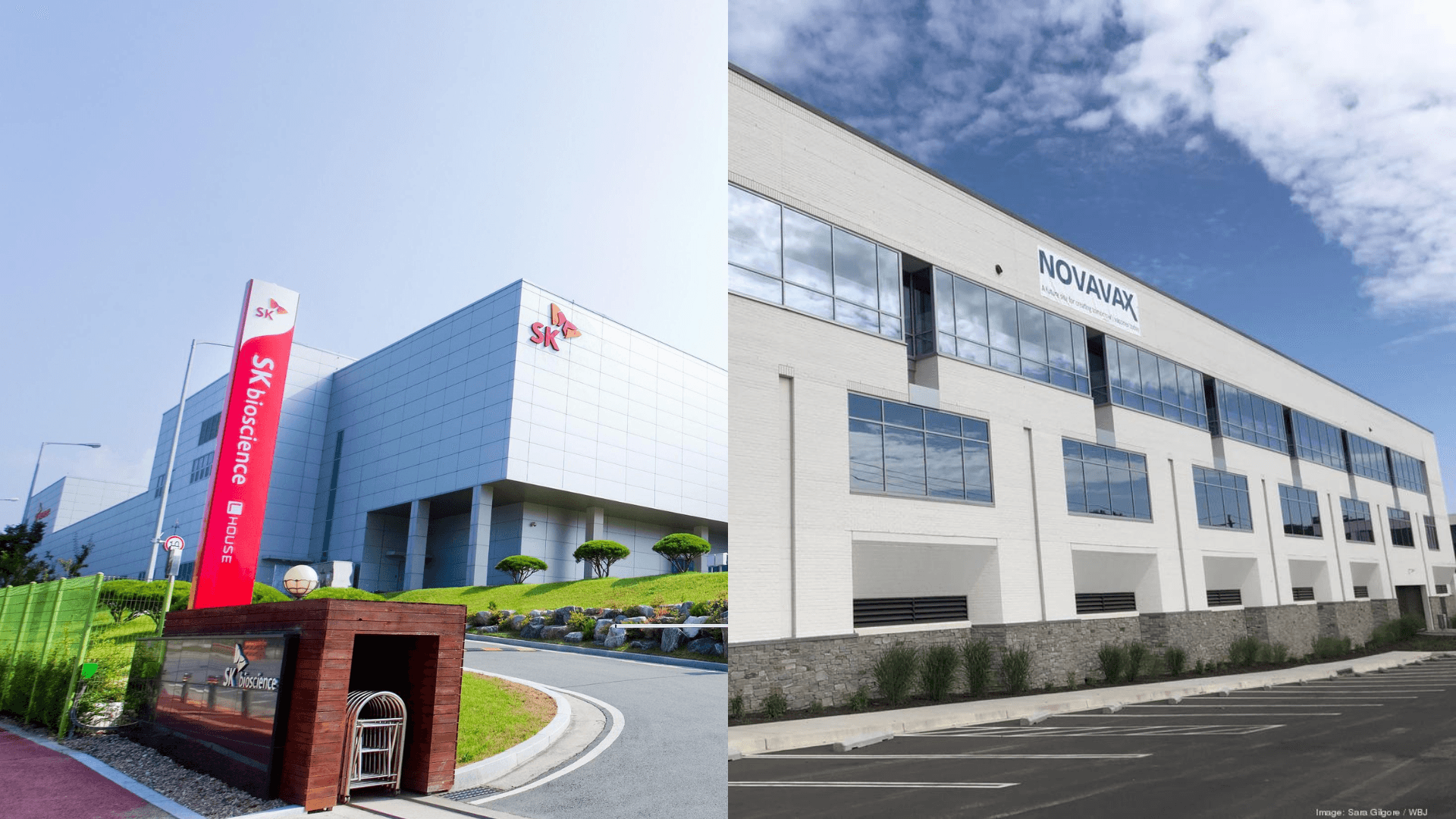 韓國 SK Bioscience 與 Novavax 策略性合作：加速疫苗研發與全球擴張