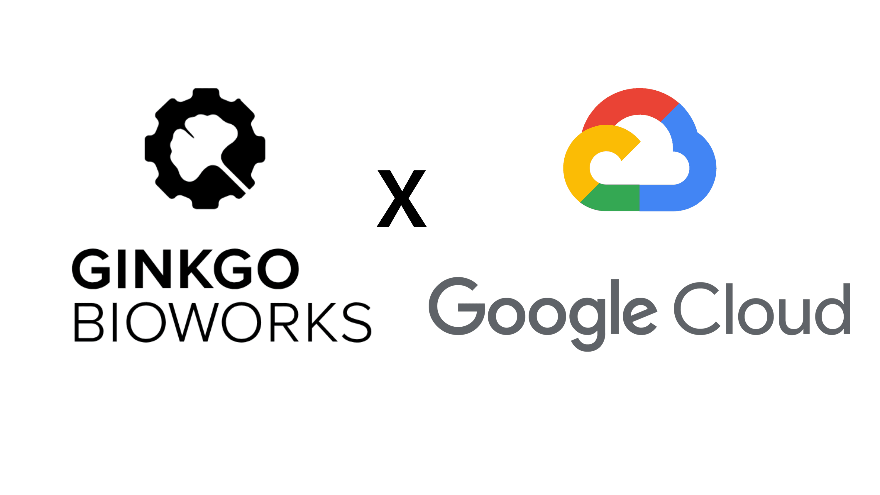 Ginkgo Bioworks X Google