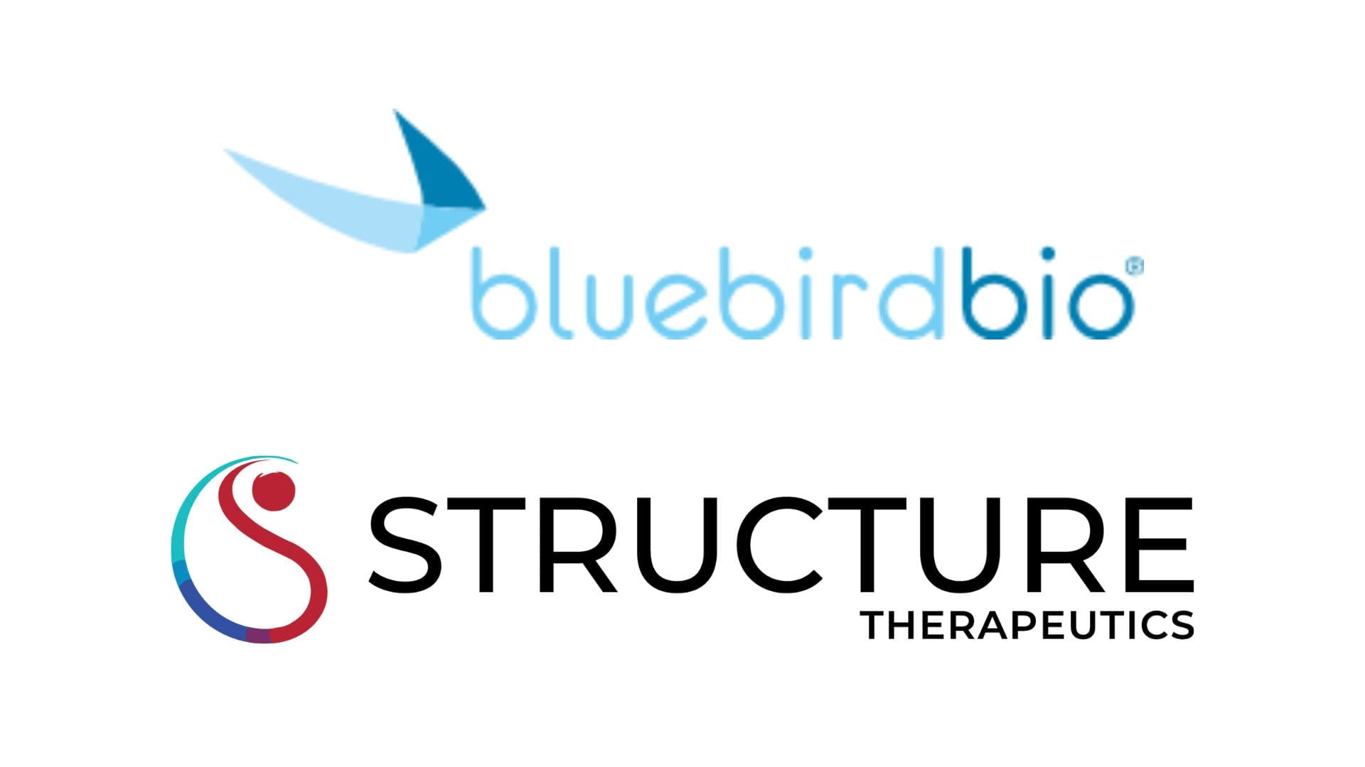 美知名財經與投資諮詢公司點名 2 家 12 月潛力生技股：Bluebird Bio 和 Structure Therapeutics