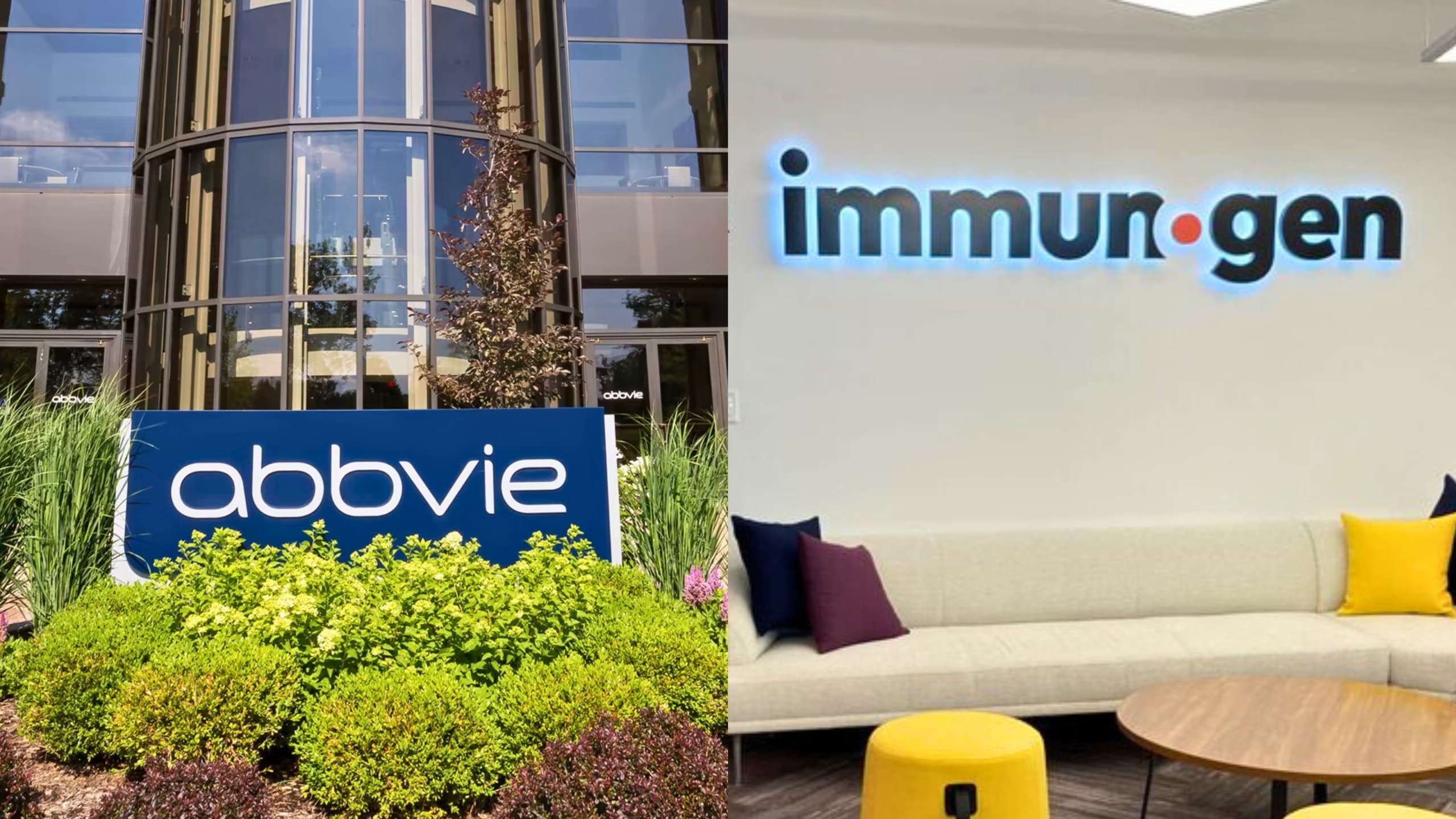 艾伯維斥資 101 億收購 ImmunoGen,藉新型 ADC 進軍卵巢癌市場