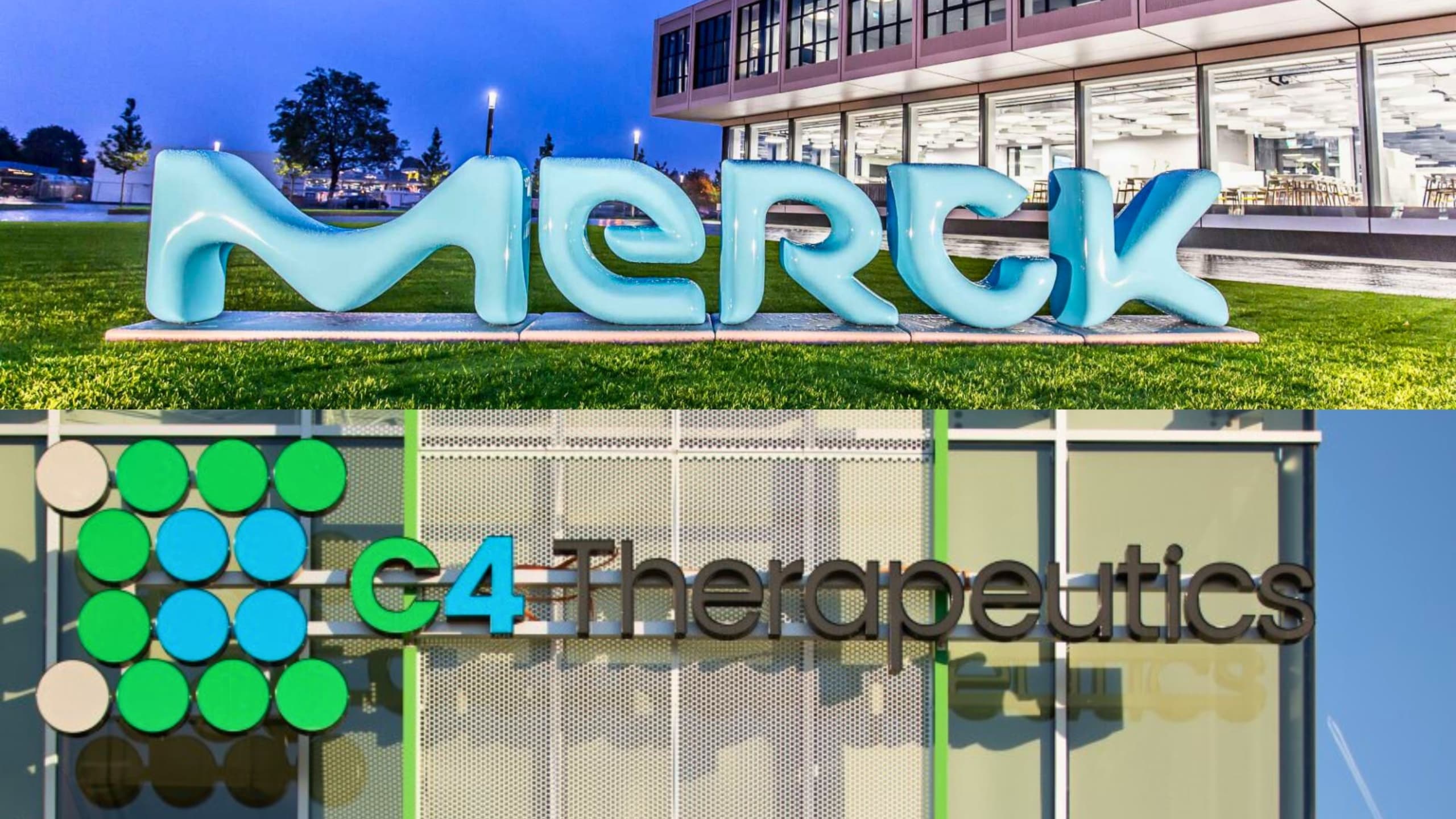 默克聯手 C4 Therapeutics，以蛋白降解劑開發抗癌藥物