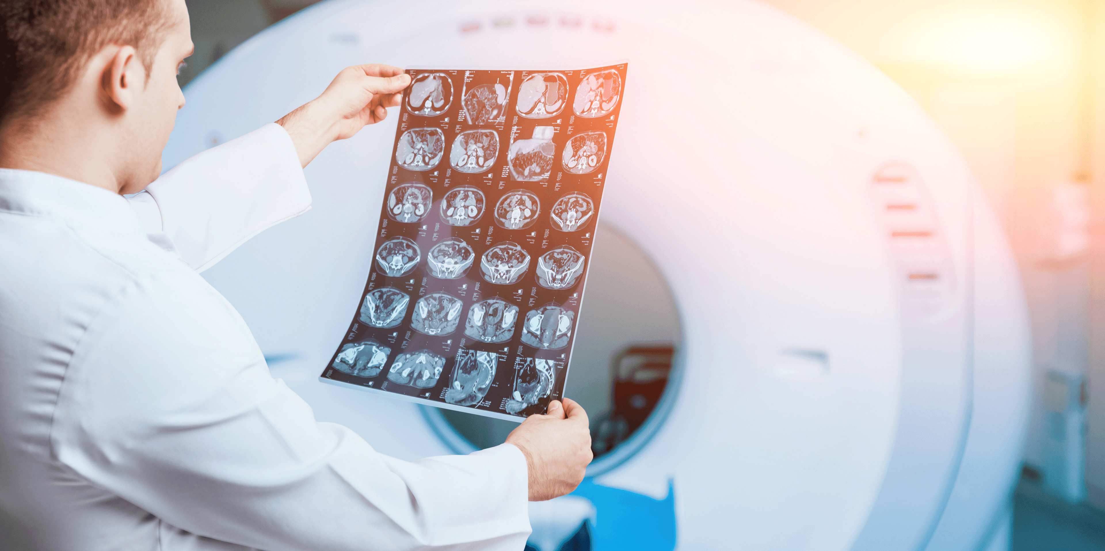 兩性腦部差異在白質，千張 MRI 透玄機