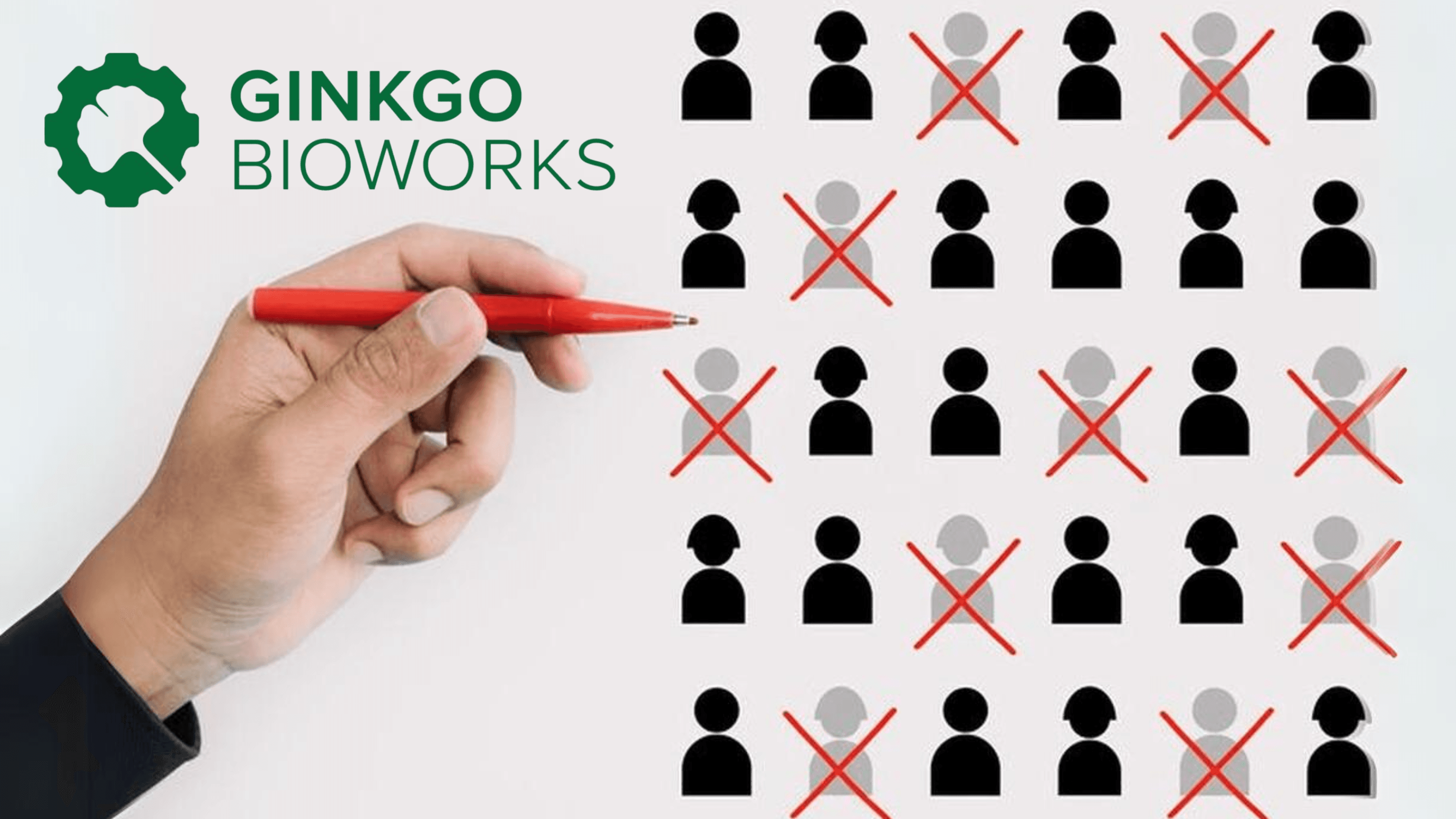 Ginkgo Bioworks 裁員預計影響至少 35% 員工，將削減多達 400 個職位