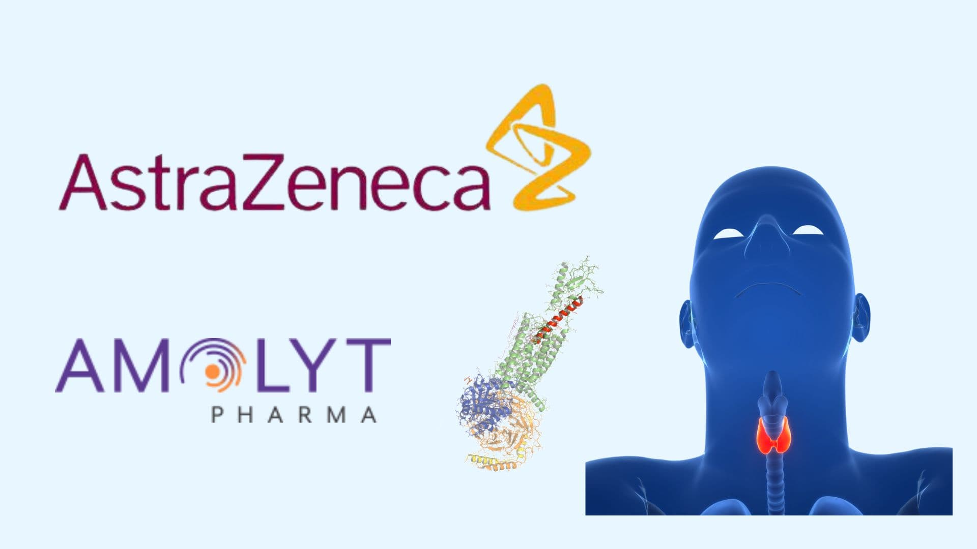 阿斯特捷利康完成收購 Amolyt Pharma：罕見副甲狀腺功能低下症低血鈣症狀得以控制