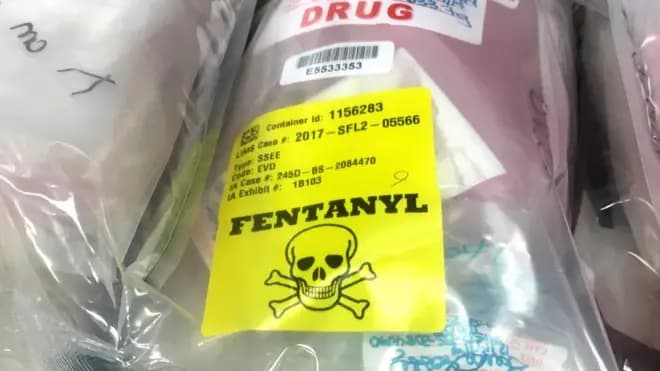 芬太尼 fentanyl