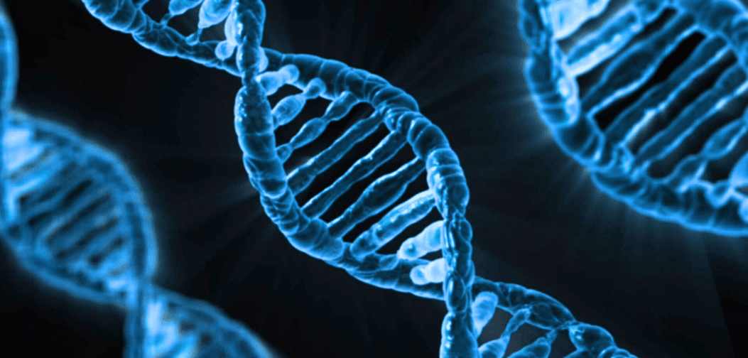 Clonell Therapeutics_0