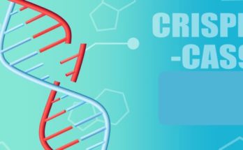CRISPR Cas-9