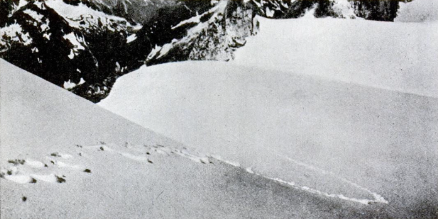 1937 年摄影师 Frank S. Smythe 拍到疑似雪人脚印的照片，刊登于 1952 年的《Popular Science》期刊。来源：Wiki。