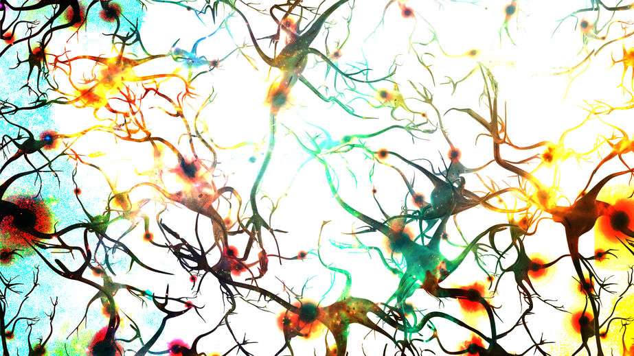 神經細胞進行基因修復