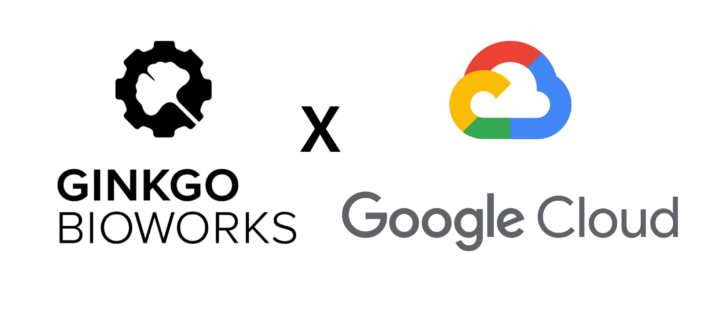 Ginkgo Bioworks X Google